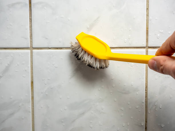 Best Attic Mold Removal  in Fritz Creek, AK