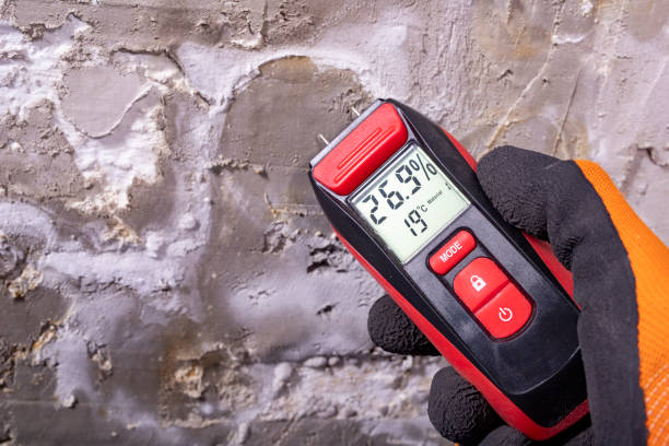 Best Mold Testing  in Fritz Creek, AK