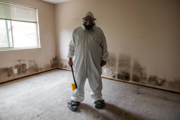 Crawl Space Mold Removal in Fritz Creek, AK